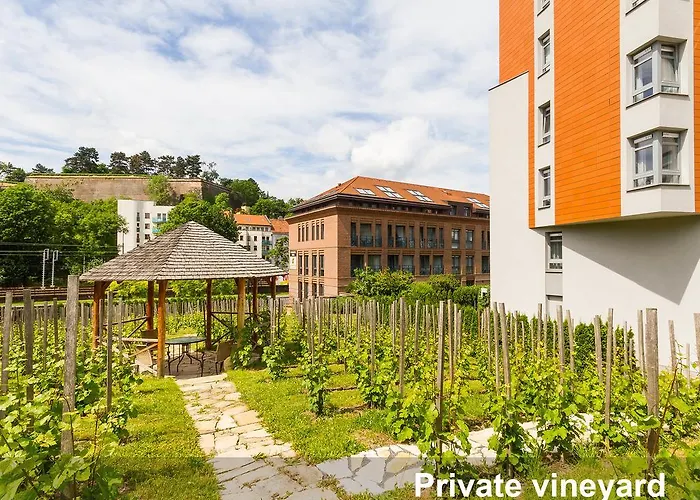 Albertov Rental Apartments Praag